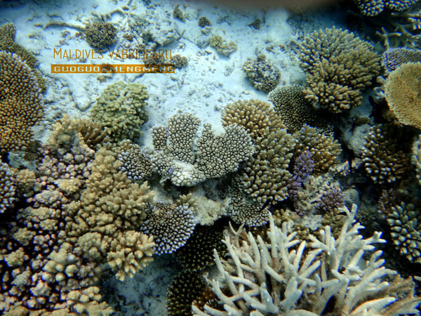 马尔代夫景点图片 马尔代夫景点图片