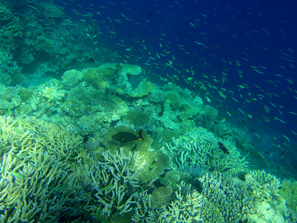 马尔代夫旅游攻略图片