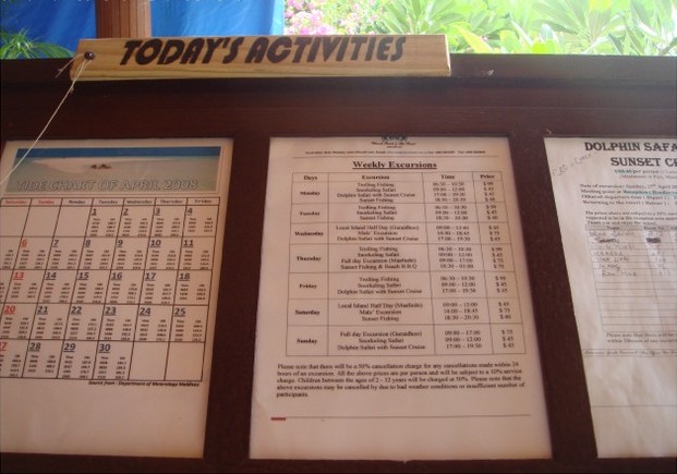 报名表2,博博客专访活动,蜜月,马尔代夫