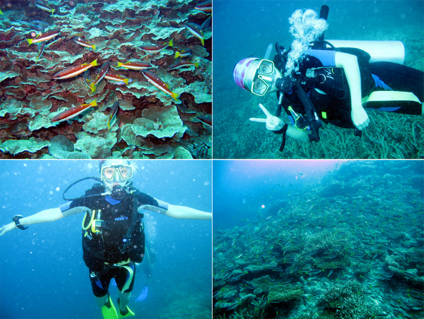 马尔代夫自助游图片