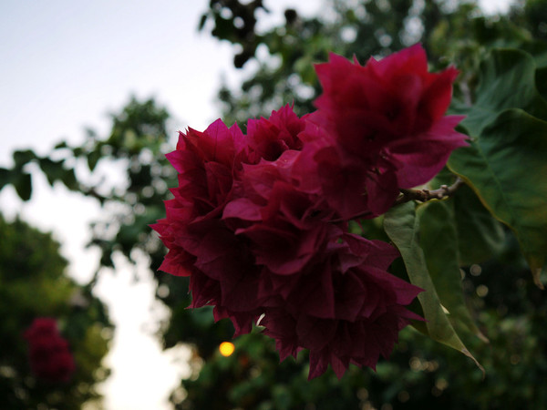 马尔代夫旅游攻略图片 马尔代夫旅游攻略图片
