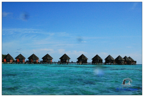 马尔代夫自助游图片