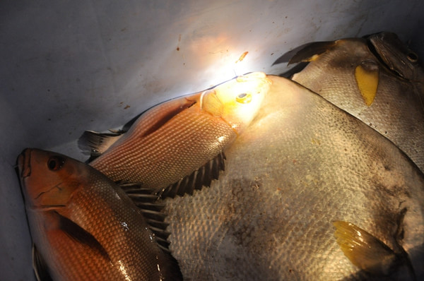 马尔代夫景点图片