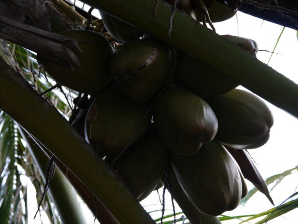 马尔代夫图片 马尔代夫图片