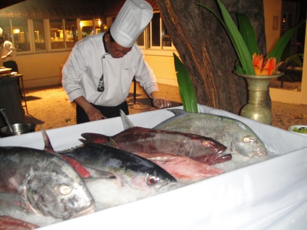 马尔代夫自助游图片