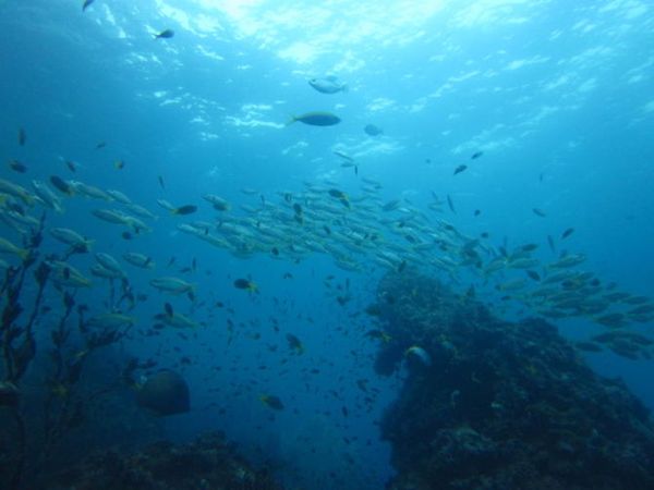 马尔代夫景点图片 马尔代夫景点图片