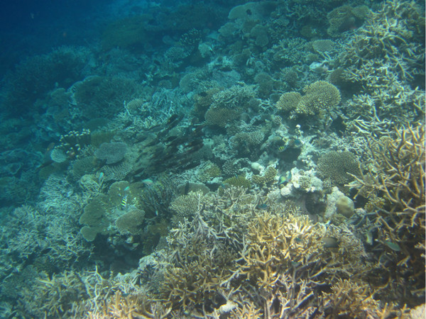 阿雅达景点图片