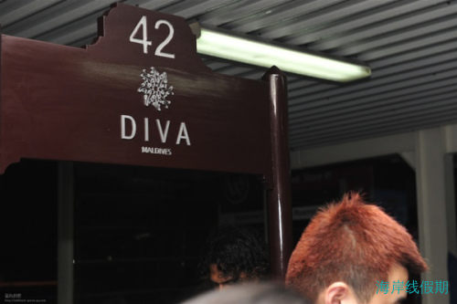 马尔代夫Diva梦幻之旅,马尔代夫游记，海岸线假期