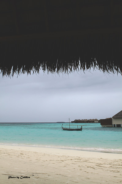 马尔代夫自助游图片