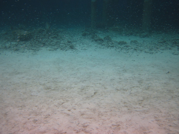 马尔代夫图片 马尔代夫图片