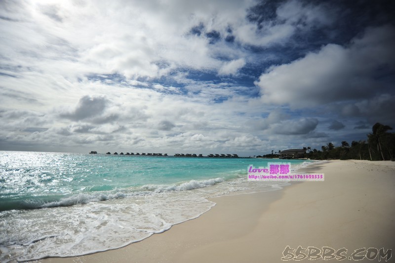 nEO_IMG_DSC_0979.jpg nEO_IMG_DSC_0979.jpg