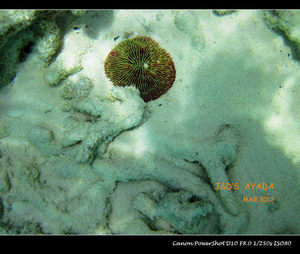 马尔代夫旅游攻略图片