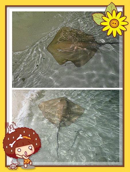 薇拉瓦鲁岛图片