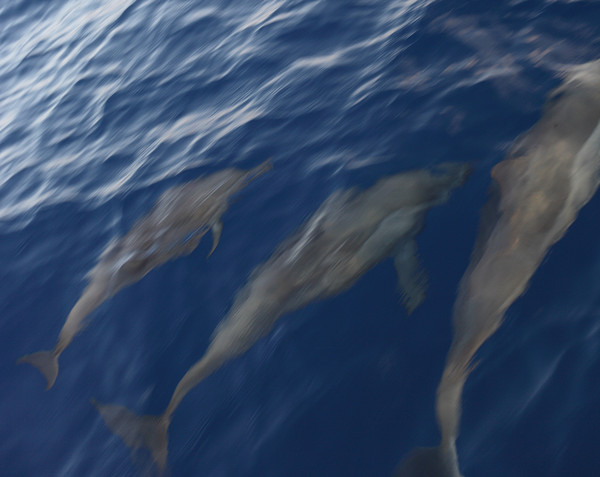 马尔代夫自助游图片