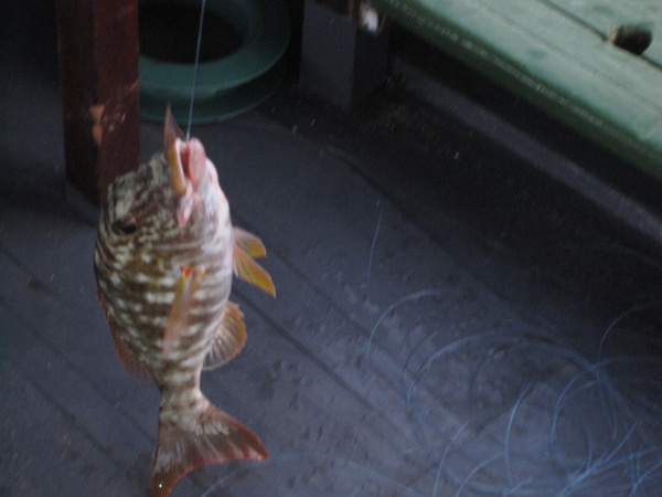 马尔代夫图片 马尔代夫图片