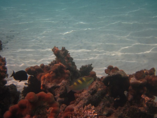 马尔代夫图片 马尔代夫图片