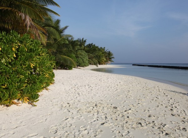 马尔代夫自助游图片