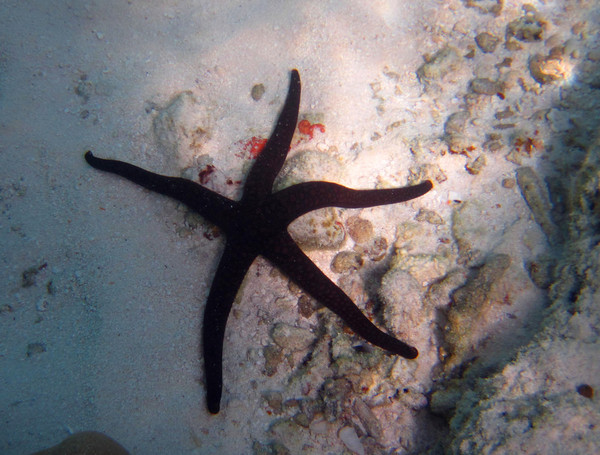 马尔代夫旅游攻略图片