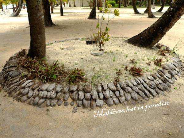 马尔代夫自助游图片