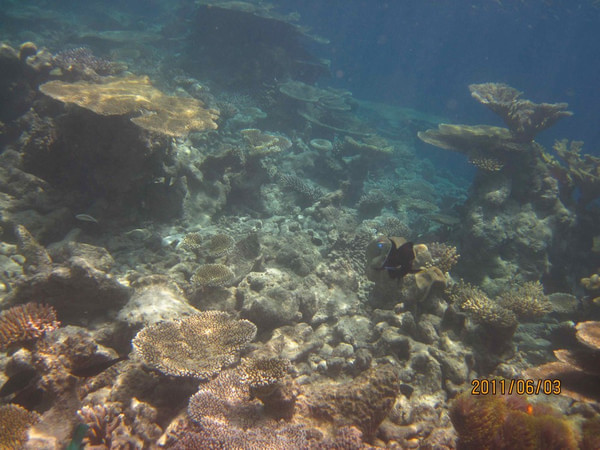 马尔代夫景点图片