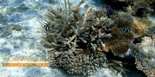 马尔代夫景点图片 马尔代夫景点图片