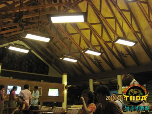 班度士岛 Bandos2,马尔代夫游记，海岸线假期