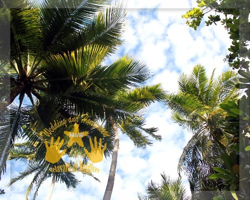 马尔代夫图片 马尔代夫图片