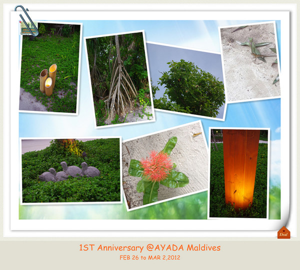 马尔代夫旅游攻略图片