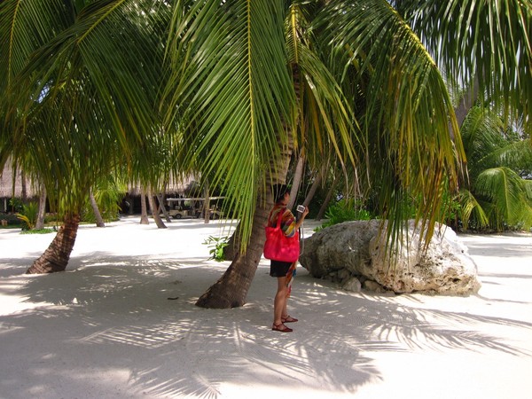 马尔代夫图片 马尔代夫图片