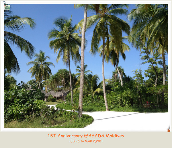 马尔代夫景点图片