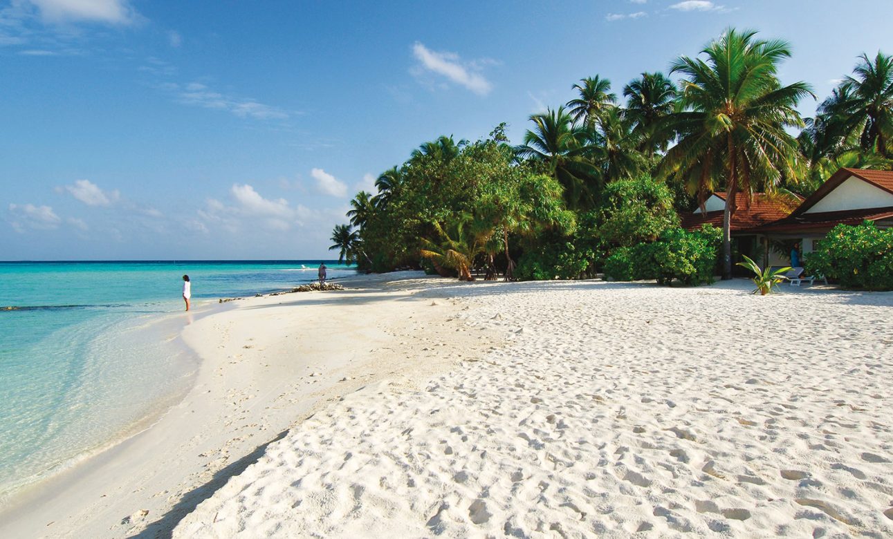 钻石泰达芙士岛(Diamonds Thudufushi)|马尔代夫,攻略(图片,天气,潜水,沙滩),岛屿游记,代理报价-海岸线官网