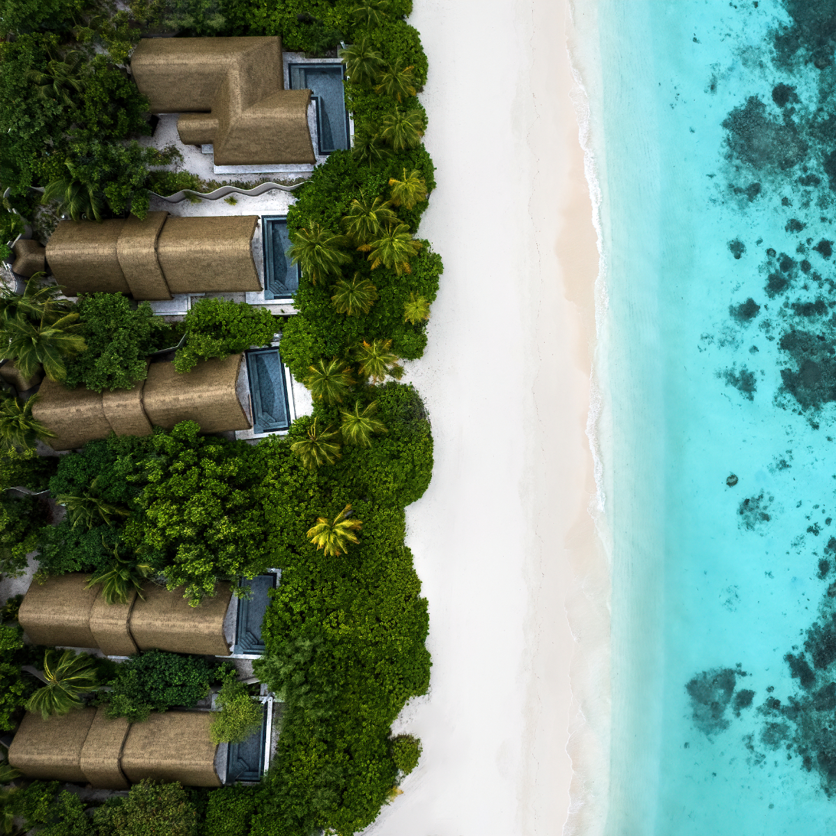 Beach Pool Villa-沙滩泳池别墅  房型图片及房间装修风格(娇丽Being Joali Being,Bodufushi Island)海岛马尔代夫 