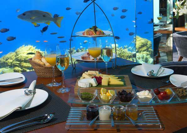 Sea Restaurant(水下餐厅) dining美食的图片集( 美食餐厅 ),印度洋三大明珠马尔代夫,AKV岛|安娜塔拉-吉哈瓦岛 Anantara Kihavah Villas