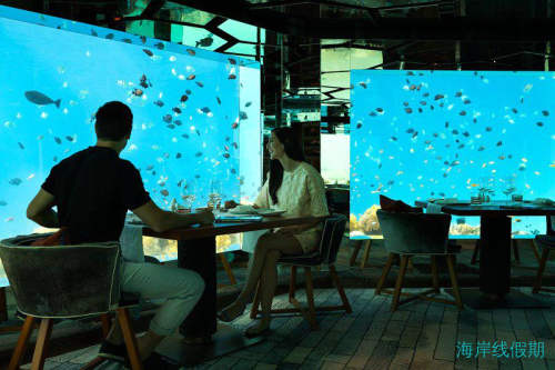 马尔代夫海底餐厅酒店有哪些？,马尔代夫游记，海岸线假期