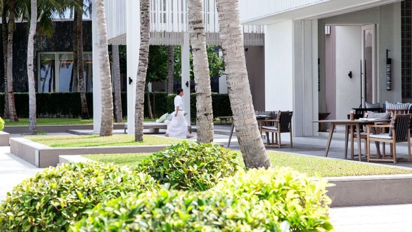 白马庄园 Cheval Blanc Randheli,dining时间( 上午10:00到午夜 )美食攻略 The White（酒吧） ，方便大家选岛（海岸线假期一级代理提供），海岛马尔代夫maldives