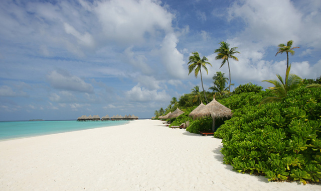 Beach Bar dining美食的图片集( 各色小吃 ),印度洋三大明珠马尔代夫,杜尼可鲁岛(可可棕榈杜妮) Coco Palm Dhuni Kolhu