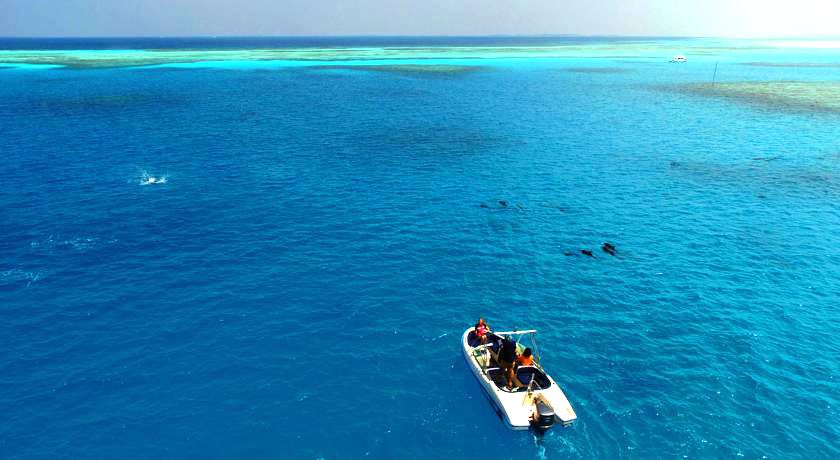 菲哈后岛 Fihalhohi Island Resort ,马尔代夫风景图片集:沙滩beach与海水water太美，泳池pool与水上活动watersport好玩