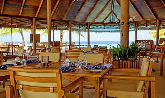 Main Restaurant dining美食的图片集（ 国际美食 ），印度洋三大明珠马尔代夫,菲利西澳岛|菲利兹优(尤) Filitheyo Island Resort