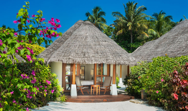 海岛别墅-Island Cottages 房型图片及房间装修风格(满月岛(喜来登) Full Moon)海岛马尔代夫 