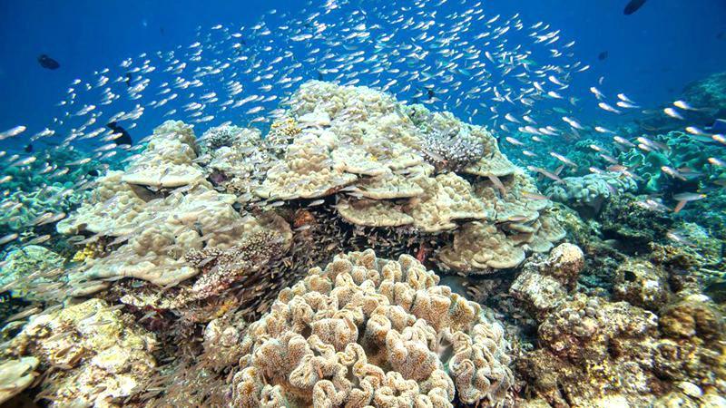 娱乐活动（马尔代夫）介绍，芙拉瓦丽岛 Hurawalhi Maldives,儿童乐园&结婚照&浮潜&健身房