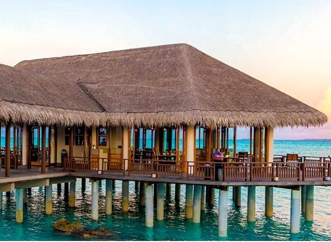 神仙珊瑚岛 Island Hideaway at Dhonakulhi,dining时间( 全天候 )美食攻略 Samsara Asian Restaurant Samsara--日落泳池咖啡馆圣莎拉亚洲餐厅 ，方便大家选岛（海岸线假期一级代理提供），海岛马尔代夫maldives