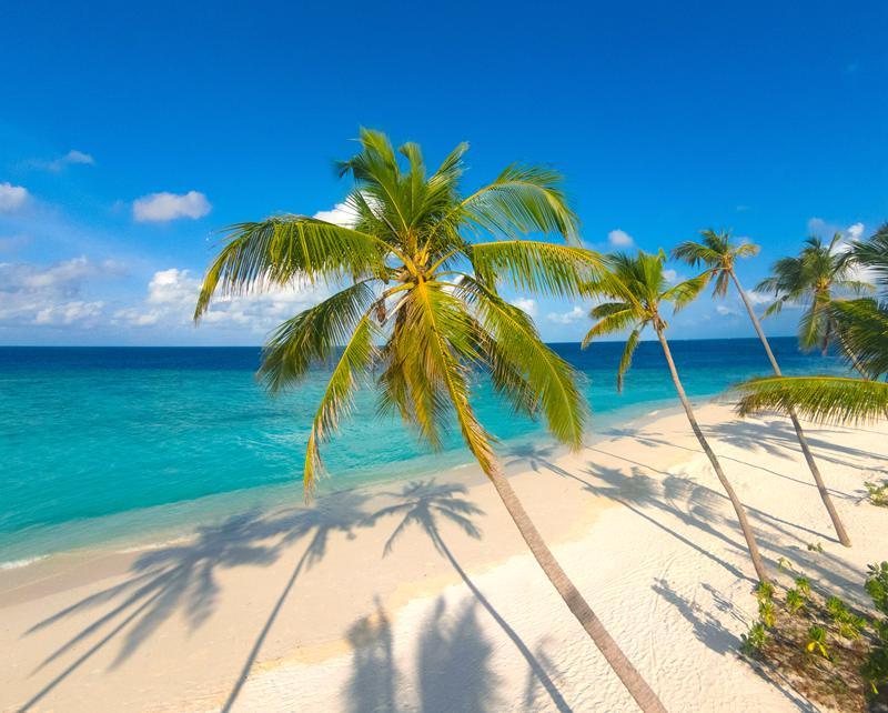 米莱度岛 Milaidhoo Island Maldives ,马尔代夫风景图片集:沙滩beach与海水water太美，泳池pool与水上活动watersport好玩