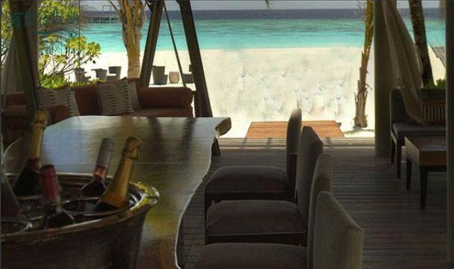 柏悦|哈达哈 Park Hyatt Hadahaa,dining时间( 19:00-22:30 )美食攻略 The Bar（酒吧） ，方便大家选岛（海岸线假期一级代理提供），海岛马尔代夫maldives