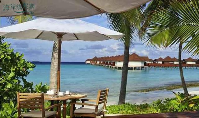 main bar 主酒吧 dining美食的图片集（ 各式美酒 ），印度洋三大明珠马尔代夫,鲁宾逊|罗宾逊|鲁滨逊 Robinson Club