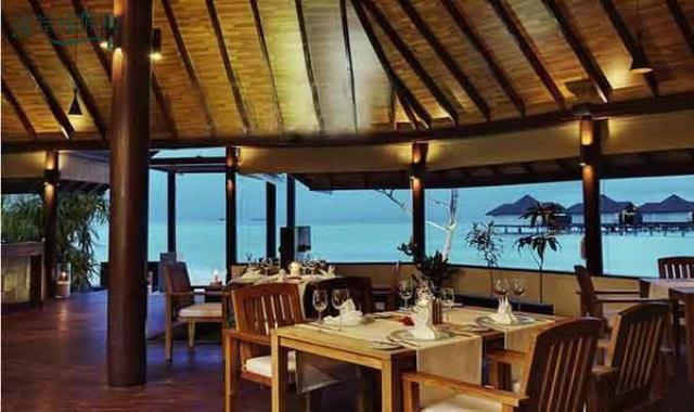 main restaurant（主餐厅） dining美食的图片集（ 自助或点餐 ），印度洋三大明珠马尔代夫,鲁宾逊|罗宾逊|鲁滨逊 Robinson Club