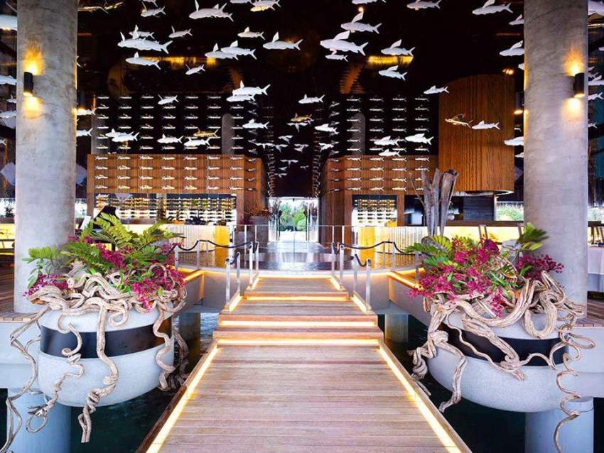 维拉私人岛 Velaa Private Island,dining时间( 全天候 )美食攻略 Aragu & CRU（香槟酒廊） ，方便大家选岛（海岸线假期一级代理提供），海岛马尔代夫maldives