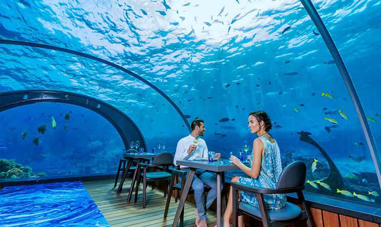 库达度私人岛 Kudadoo Maldives,dining时间( 预约 )美食攻略 5.8 Undersea（5.8米水下餐厅） ，方便大家选岛（海岸线假期一级代理提供），海岛马尔代夫maldives