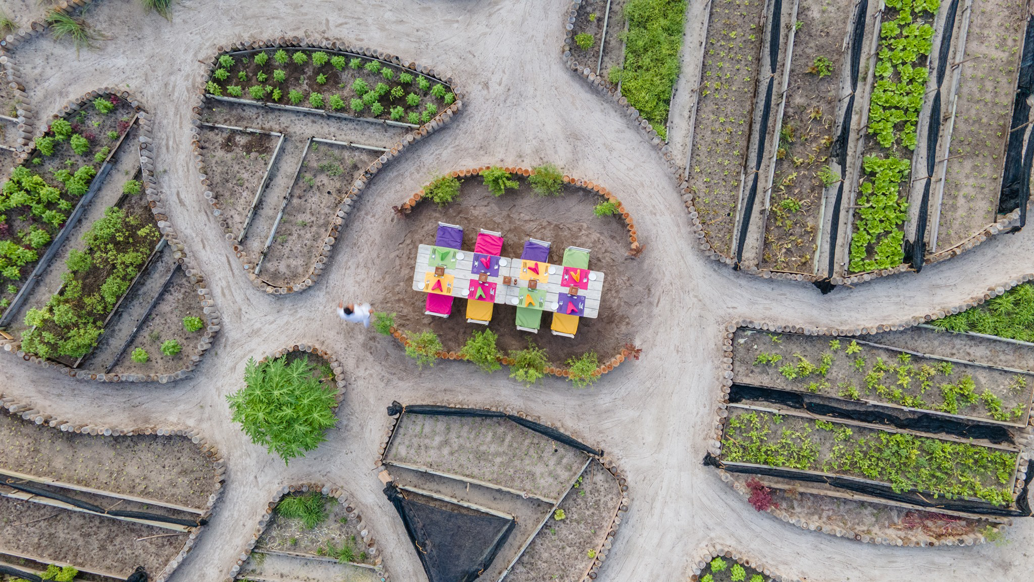 来自Diana的疯狂食物之旅--So Wild By Diana Von Cranach dining美食的图片集（ 东南亚 生食 ），印度洋三大明珠马尔代夫,索尼娃贾尼岛 Soneva Jani