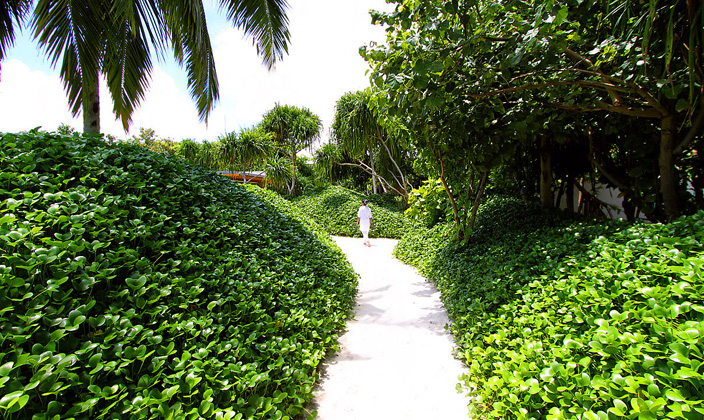 柏悦|哈达哈 Park Hyatt Hadahaa, 娱乐活动（海岛maldives）介绍,网球及高尔夫