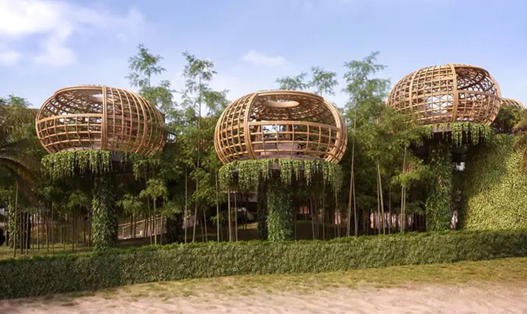 华尔道夫.伊塔富士岛|希尔顿 Waldorf Astoria Maldives Ithaafushi,dining时间( 18:30 - 22:30 )美食攻略 Terra（树上餐厅） ，方便大家选岛（海岸线假期一级代理提供），海岛马尔代夫maldives